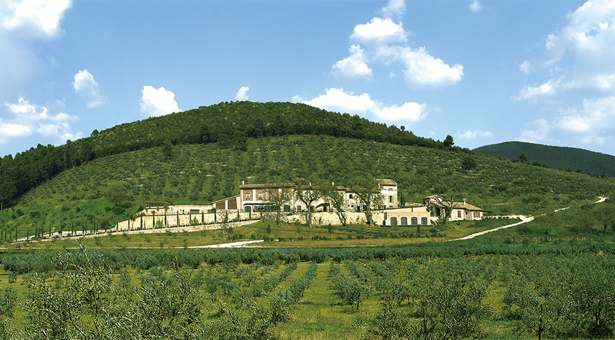 Monini | Chefs' Warehouse