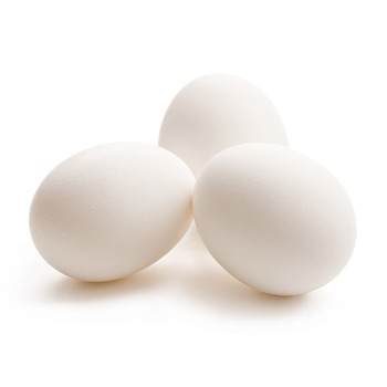 Wholesale Eggs - Buy Eggs in Bulk