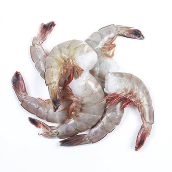 Shrimp - Head-On X-Jumbo, Piazza Seafood, Wholesale Seafood Distributors