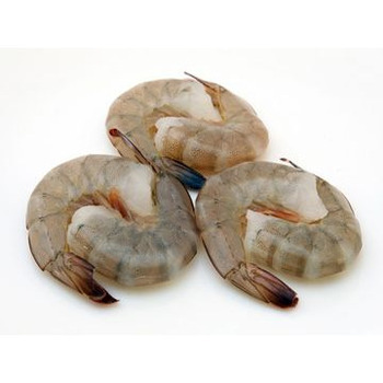 Shrimp - Head-On X-Jumbo, Piazza Seafood, Wholesale Seafood Distributors