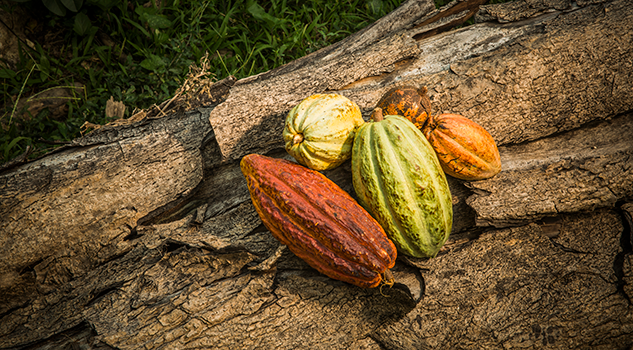 Valrhona | Chefs' Warehouse